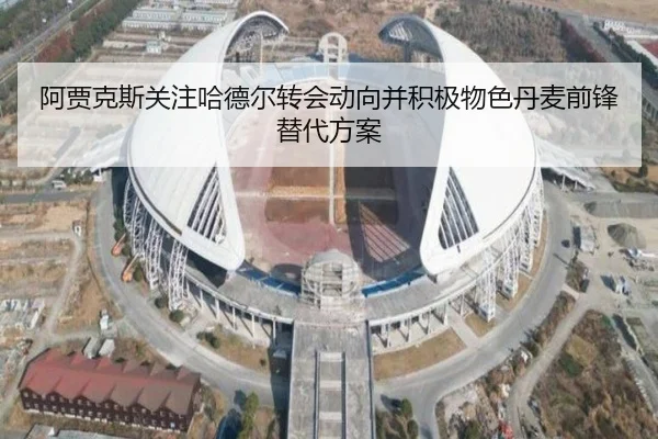 阿贾克斯关注哈德尔转会动向并积极物色丹麦前锋替代方案